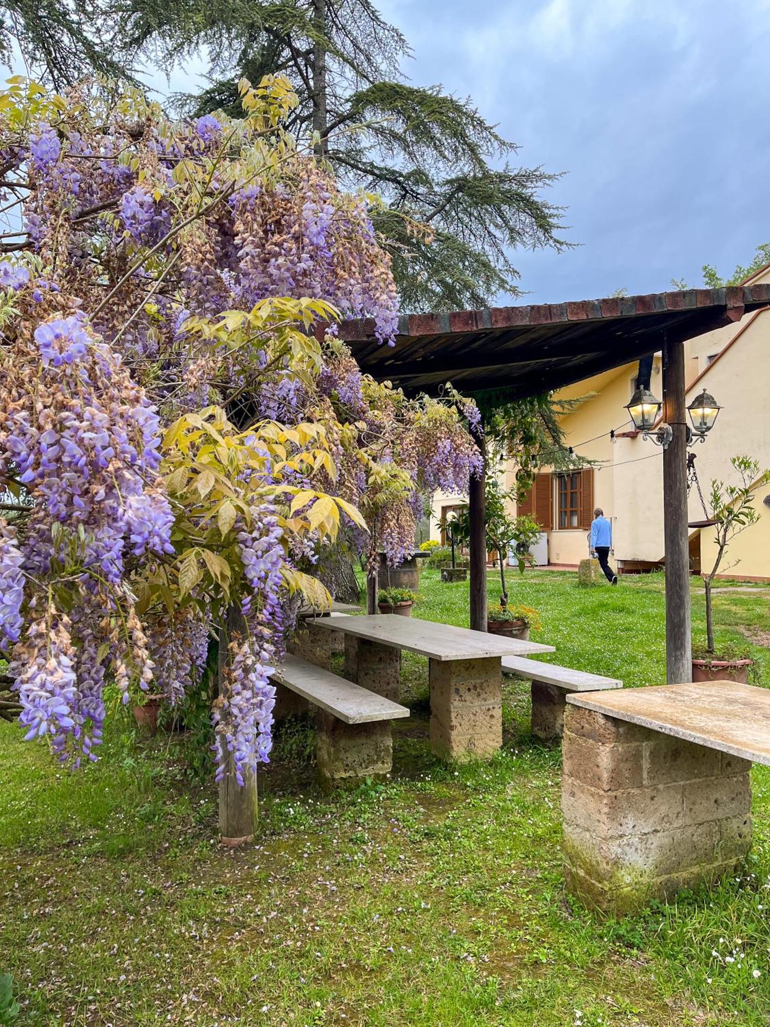 Tuscany Time Montefoscoli 외부 사진